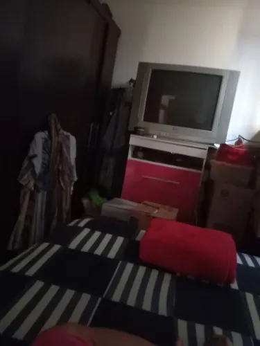 TV,29 polegadas,300 reais