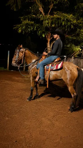 Cavalo (égua machadeira! )
