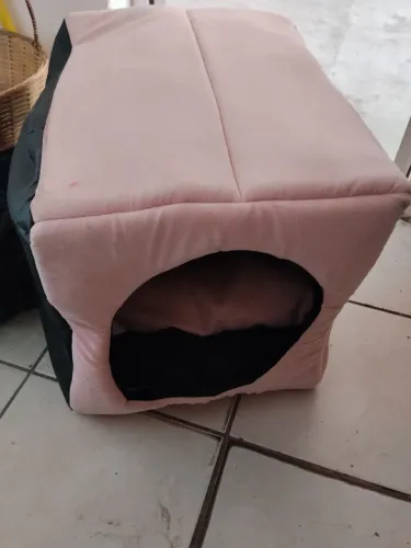 Caminha pet