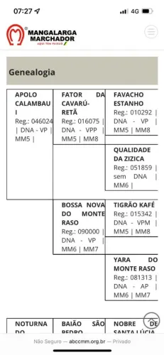 Vendo cavalo MM registrado 4 anos