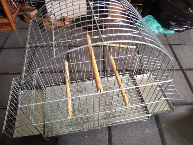 Vendo Gaiola