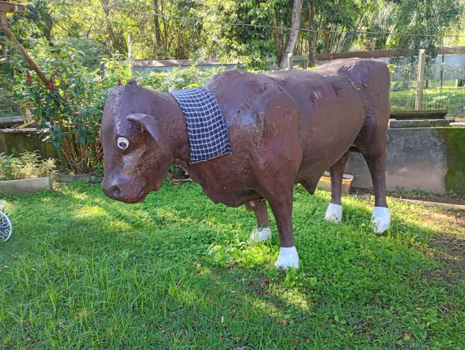Estátua de boi (fibra)