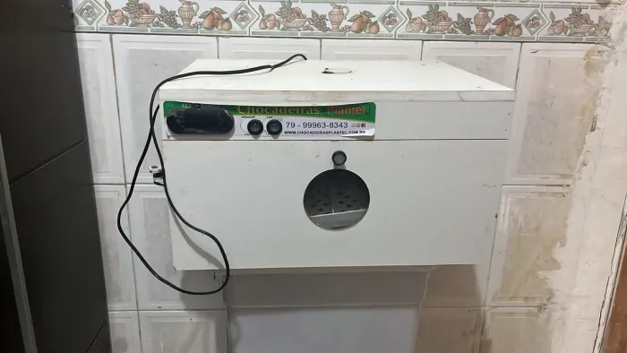 Chocadeira