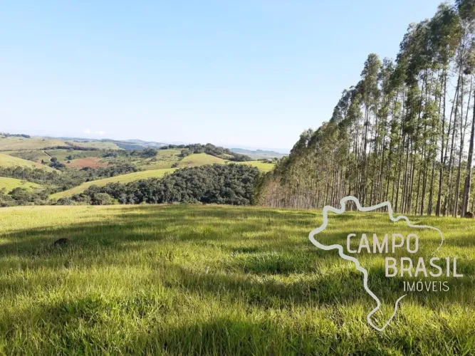 FAZENDA 225 HECTARES NO SUL DE MINAS GERAIS !