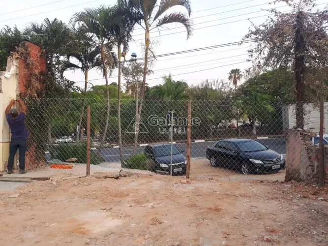 terreno - Bosque - Campinas