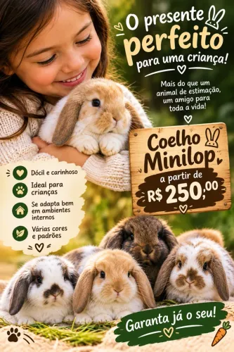 Coelho mini