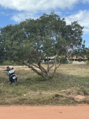 Terreno em Grussai