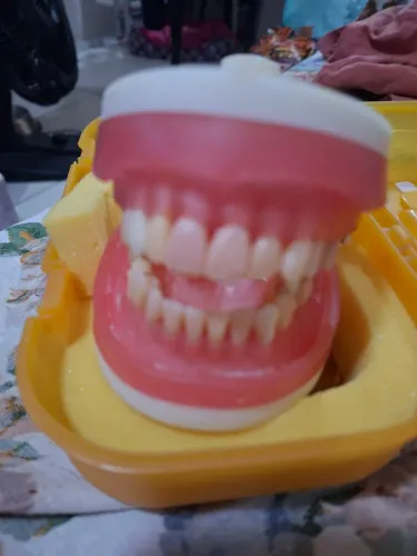 Modelo para dentistica e prótese 