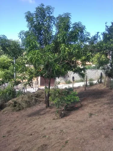 Vendo terreno ótima localidade