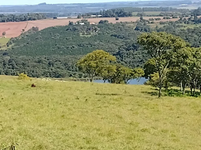 Fazenda com 42 Alqueires, Agua, Não Tem Casa, Localização Nobre, Em Frente Ao Asfalto, Sit