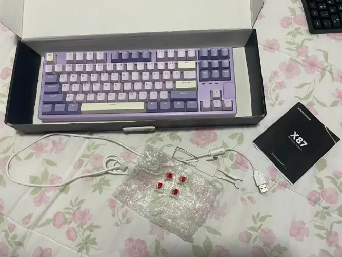 Teclado Mecânico X87 Rgb, 87 Teclas, Hot-swap + Teclado comum