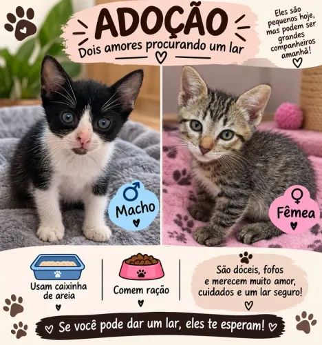 Adote um gatinho