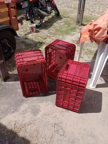 Caixas multiuso