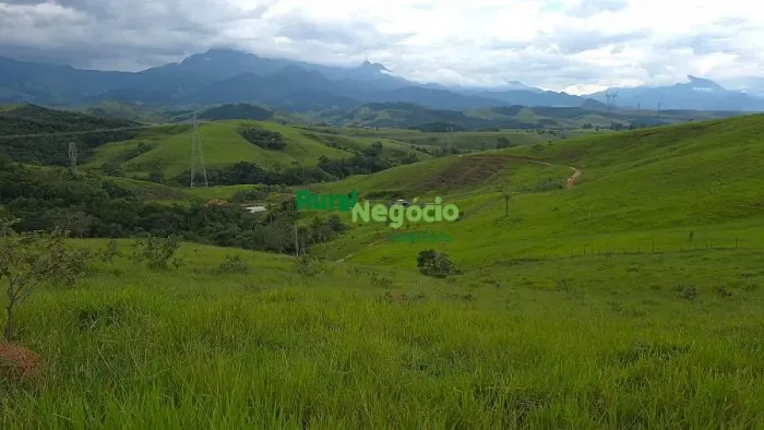 SÍTIO FORMADO EM PASTO DE BRAQUIÁRIA Á VENDA EM PIQUETE-SP