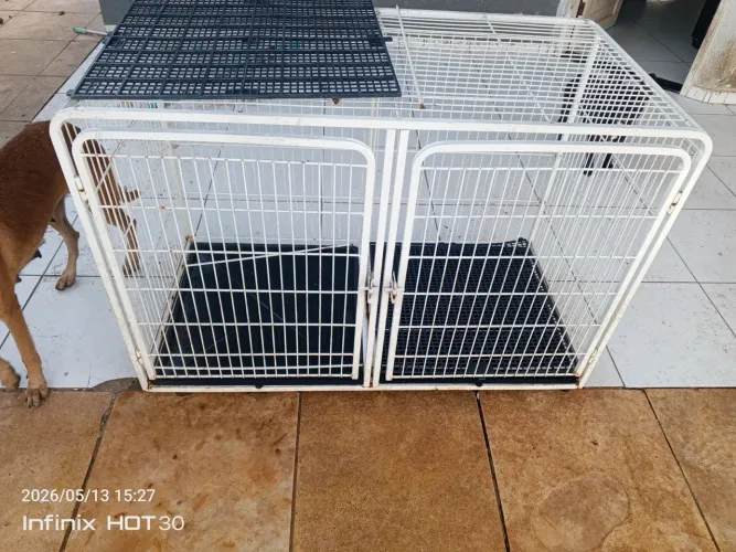 Canil em aço com divisão 