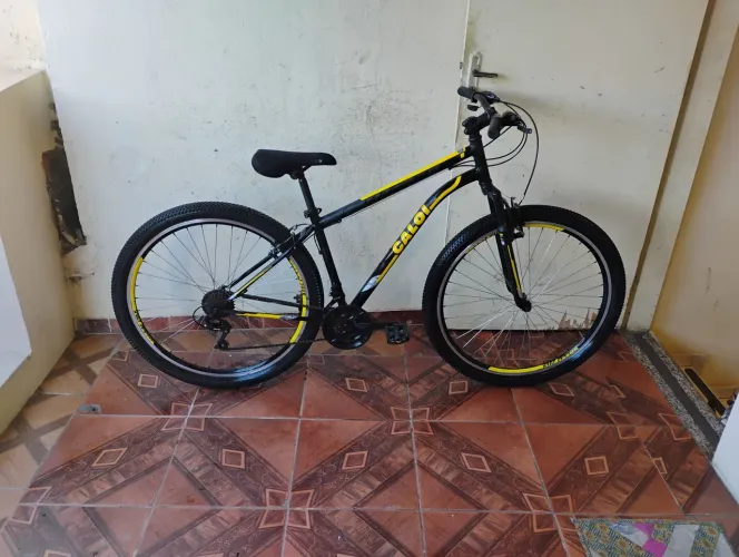Bicicleta aro 29