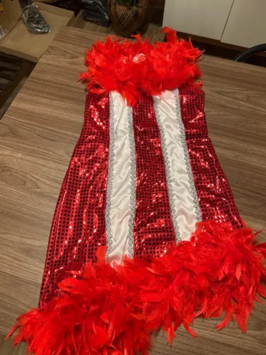 Fantasia vestido Cabrocha TAM P
