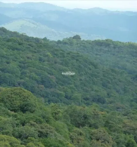 ATIVO RURAL AMBIENTAL À VENDA EM IBIÚNA/SP 220 HECTARES DE MA