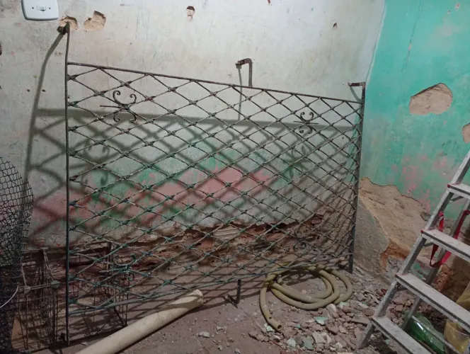Vendo essas aranhas de janelas
