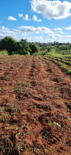 Terreno em Feira Nova-PE com 16 X 180m
