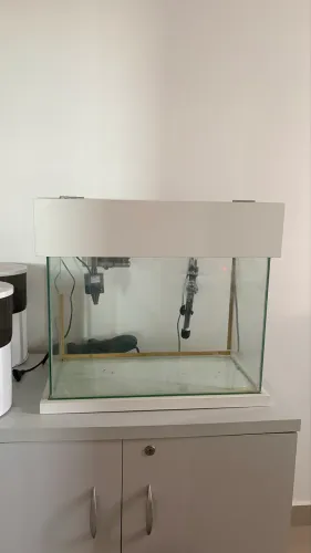 Aquário de 40lt com Suporte