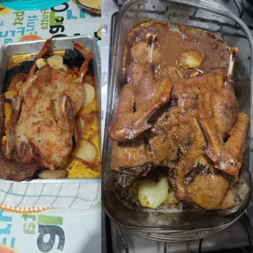 Pato e marreco abatido 