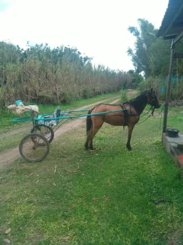 Charrete de 2