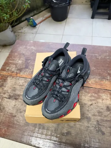 mizuno prophecy 13