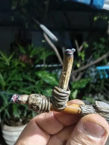 Marica de carburação dupla