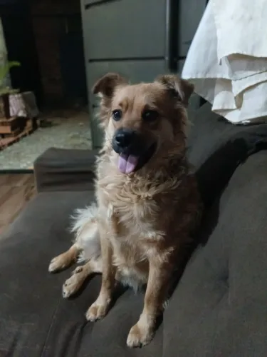 Doação 