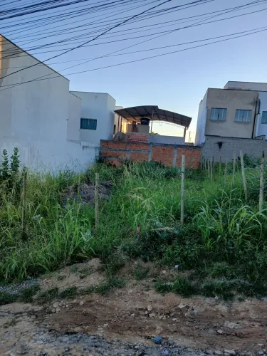 Lote no castanheira
