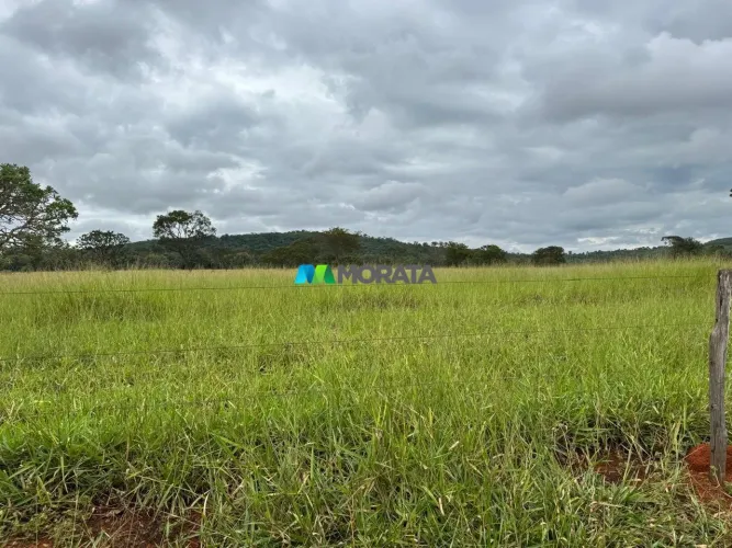 FAZENDA À VENDA - 148 HECTARES - FELIXLANDIA (MG)
