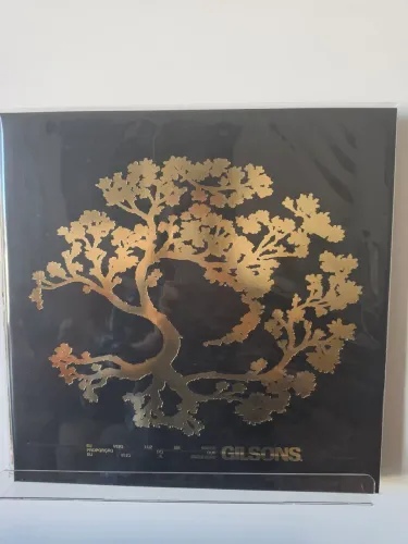 Vinil Gilsons 