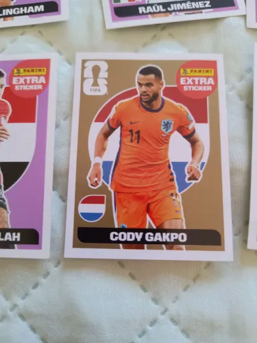 Cody gakpo ouro