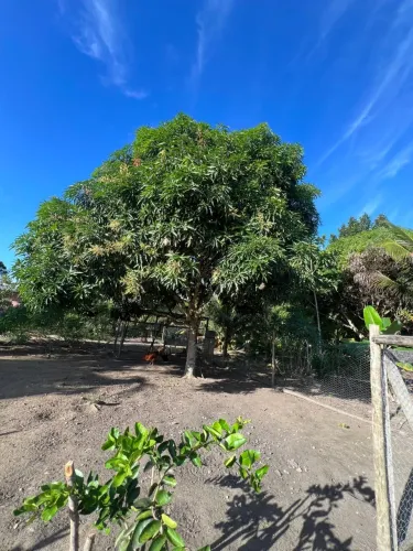 Lote em Porto Seguro - 10x22