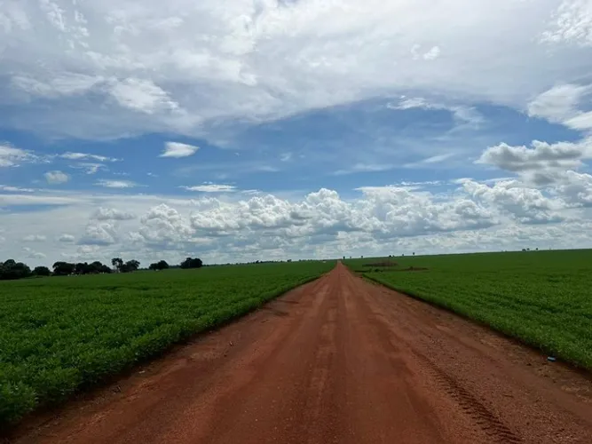 Fazenda 288 Alqueires município de Nova Rosalândia  TOCANTINS 