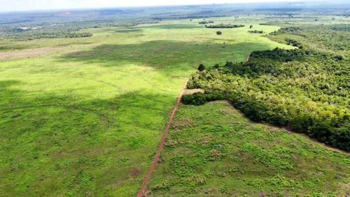 Fazenda 226 alqueires município de Goiatins Tocantins