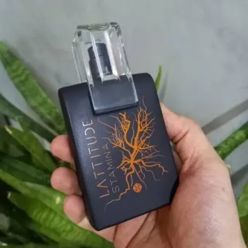 Lattitude Stamina Hinode promoção!