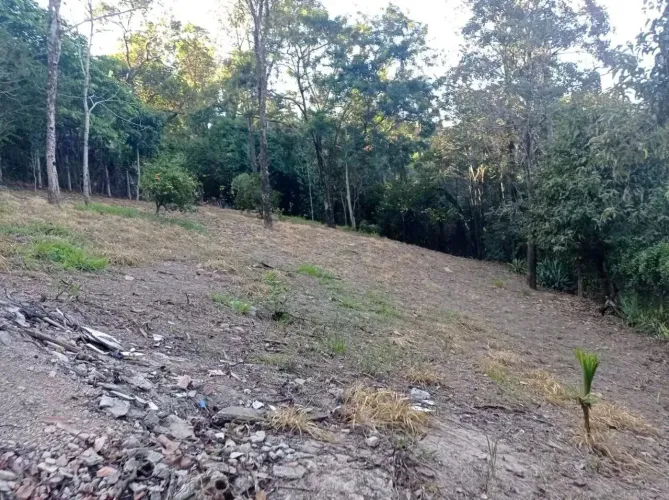 Excelente lote no Condomínio Vale do Ouro