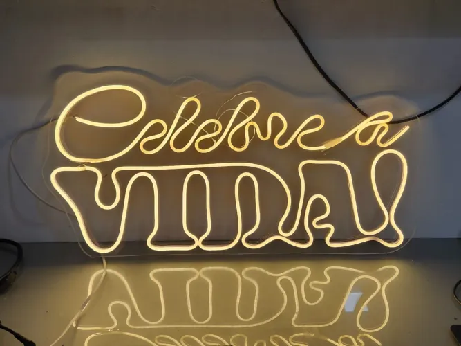 Letreiro Led Neon Luminoso Celebre A Vida Branco Quente