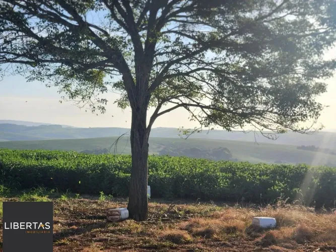 Fazenda apenas 50 quilômetros de PORTO ALEGRE