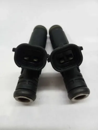 Par Bicos Injetores Peugeot  307 Ano 2012