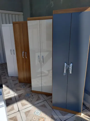 Guarda-Roupas Multiuso duas portas NOVOS Modernos e Elegantes Montados