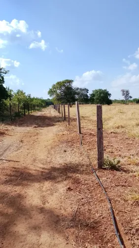 Venda Chácaras