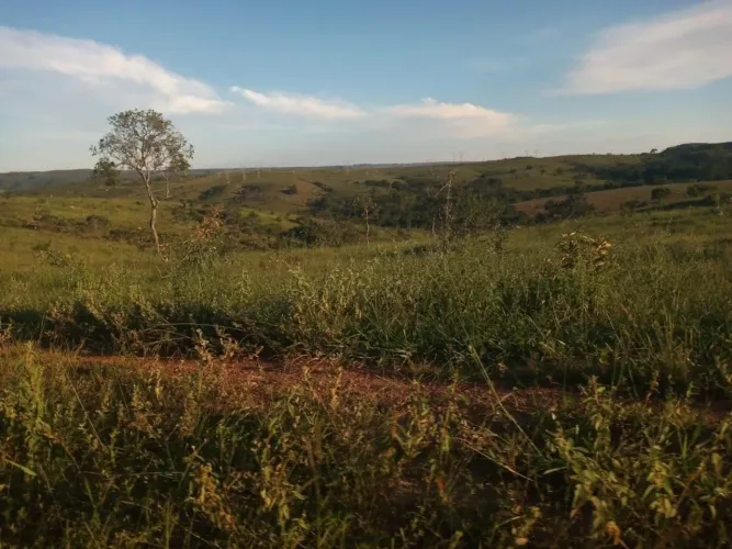 à Venda - Santo Antônio do Descoberto - GO