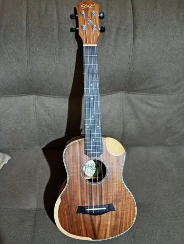 Ukulele Seizi