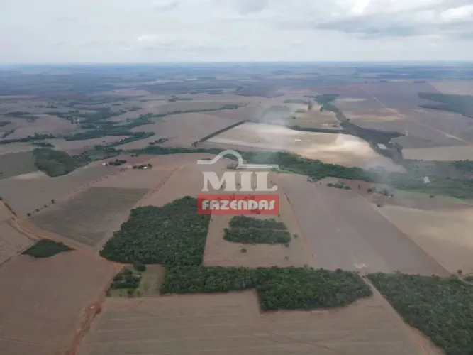 Chácara 6,37 alqueires (30,86 hectares) Jataí - Go