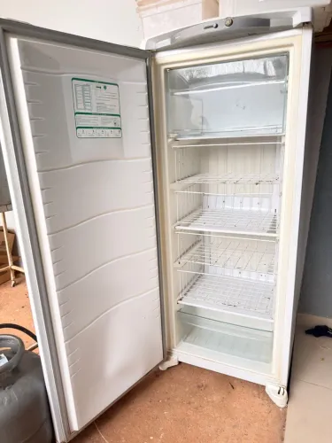 Vendo freezer vertical 