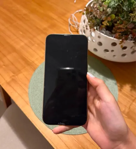 iPhone 13 Pro Max 256gb