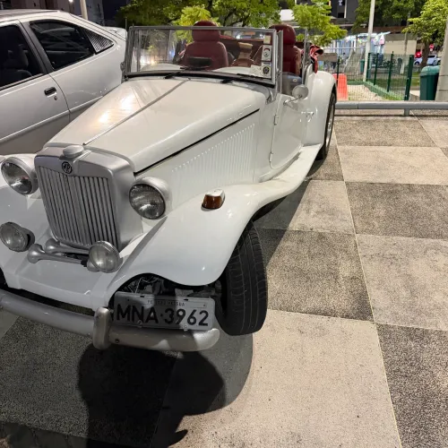 MP Lafer Classico 1.6 8V Gasolina 2P Manual 1976